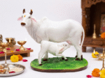 White Khamdhenu Cow And Calf Statue 7 Inch
